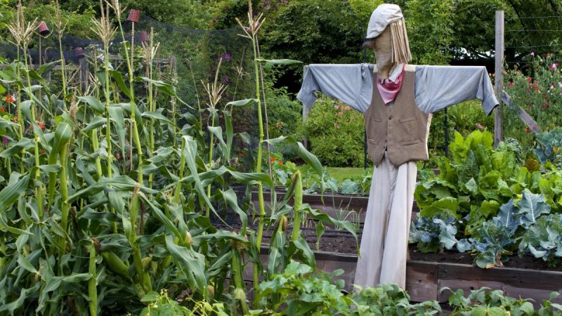 Alleviate The Beauty Of Your Garden With The Gardening Ornaments