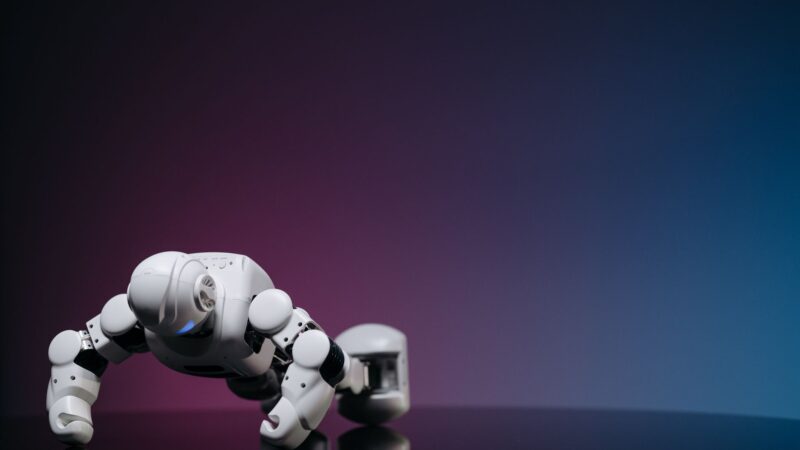 homegrown AI push